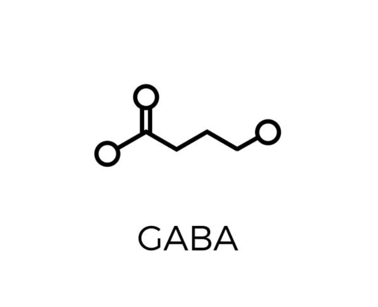 Что такое GABA ?