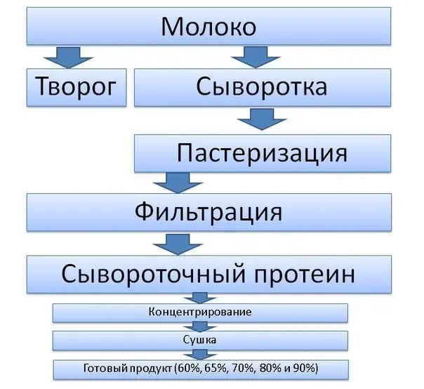 Схема производства сывороточног опротеина
