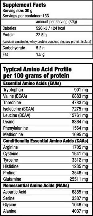 BioTech Protein Power 1000 g