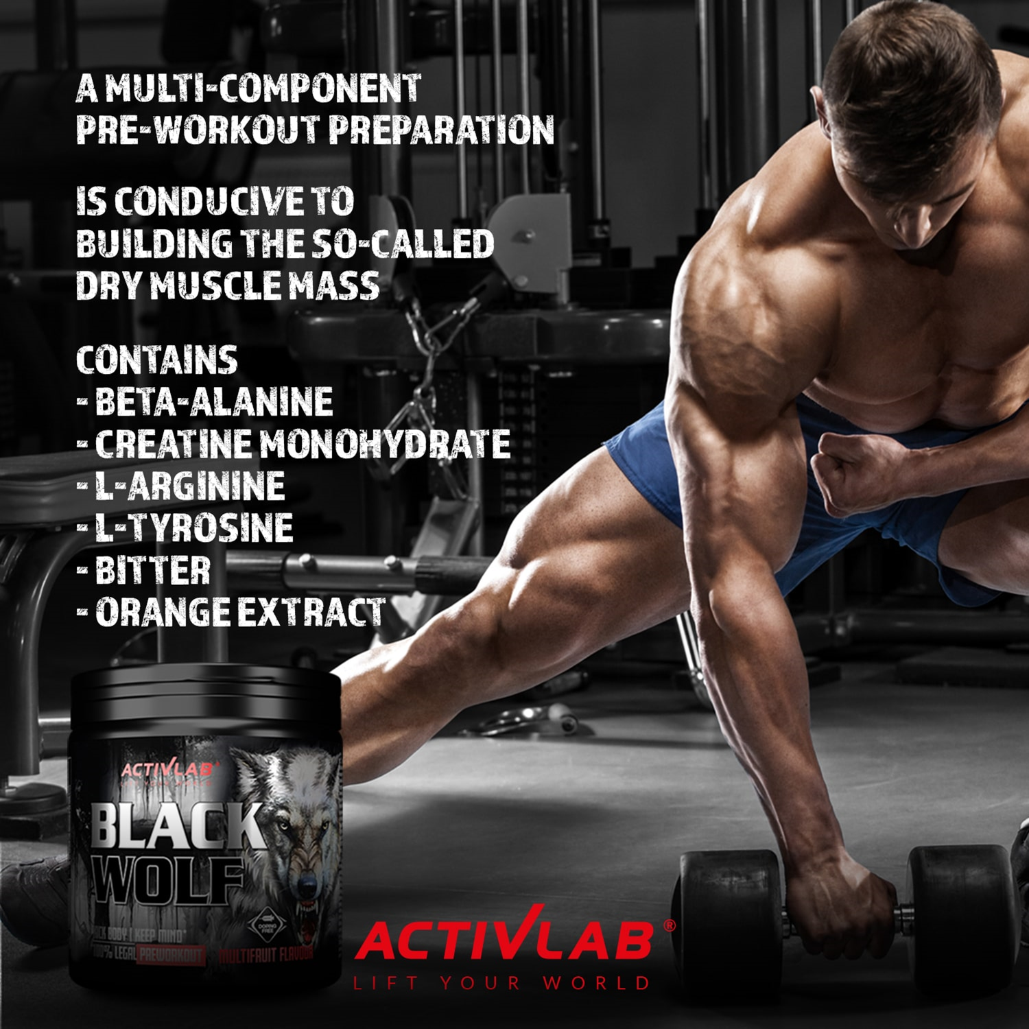 Activlab black wolf 300 g купить Киев и Украина, цена и отзывы