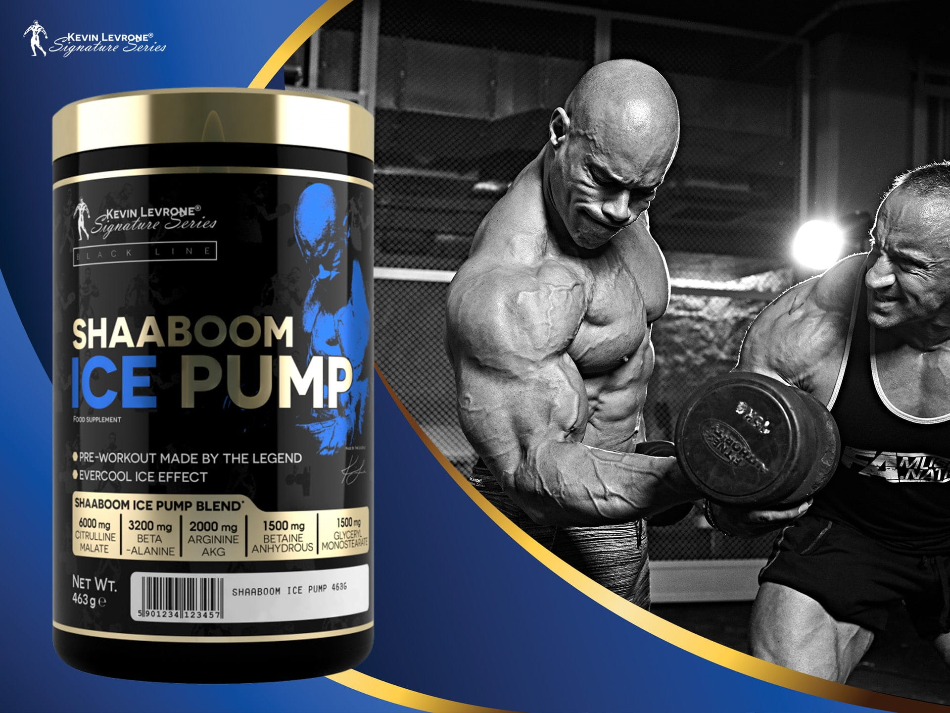 ホルモン HASHI! PROOFプルーフ Kevin levrone shaaboom ice pump 463 g купити, ціна в Києві та