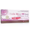 Olimp Chela-Mag B6 Forte 60 caps, Olimp Chela-Mag B6 Forte 60 caps  в интернет магазине Mega Mass