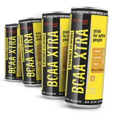 Activlab BCAA XTRA 250 ml, Вкусы: Apple / Яблоко, Activlab BCAA XTRA 250 ml, Вкусы: Apple / Яблоко  в интернет магазине Mega Mass