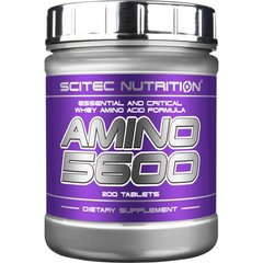 Scitec Nutrition Amino 5600 200 tabs, Scitec Nutrition Amino 5600 200 tabs  в интернет магазине Mega Mass