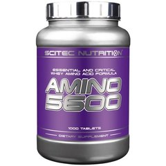 Scitec Nutrition Amino 5600 1000 tabs, Scitec Nutrition Amino 5600 1000 tabs  в интернет магазине Mega Mass