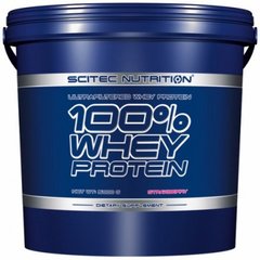 Scitec nutrition 100% whey protein 5кг, Смак:  Chocolate / Шоколад, image 