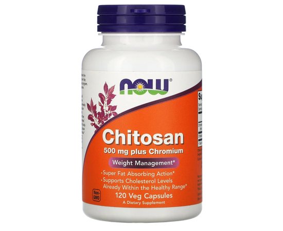 NOW Chitosan 500 mg 120 caps, image 