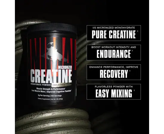 Universal Nutrition Animal Micronized Creatine 300 g, image , зображення 4