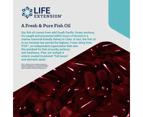 Life Extension Super Omega 60 softgels, Life Extension Super Omega 60 softgels , изображение 7 в интернет магазине Mega Mass