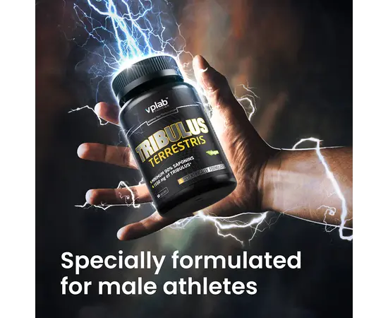VPlab Tribulus Terrestris 90 caps, image , зображення 5