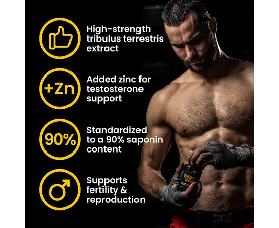 VPlab Tribulus Terrestris 90 caps, image , зображення 4
