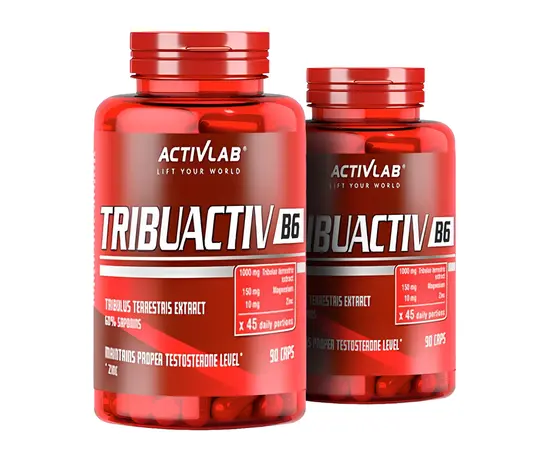Activlab Tribuactiv B6 90 caps, Activlab Tribuactiv B6 90 caps , изображение 2 в интернет магазине Mega Mass