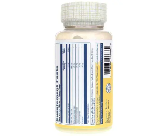 Solaray Mega Quercetin 60 caps, image , зображення 2