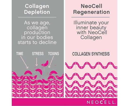 Neo Cell Super Collagen + C + Biotin 180 tabs, Neo Cell Super Collagen + C + Biotin 180 tabs , изображение 7 в интернет магазине Mega Mass