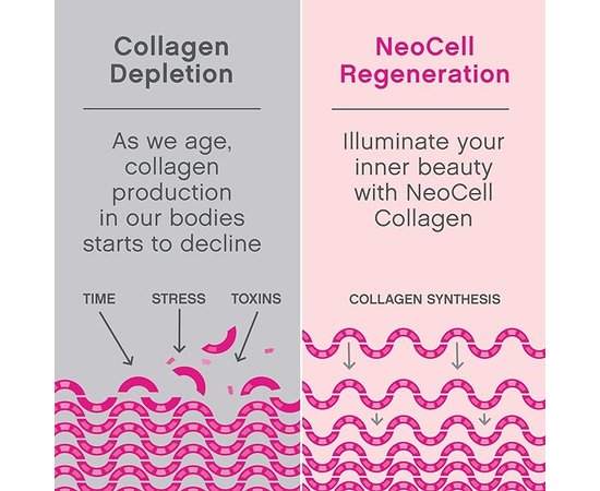 Neocell Super Collagen Type 1&3 (200 g), image , зображення 5