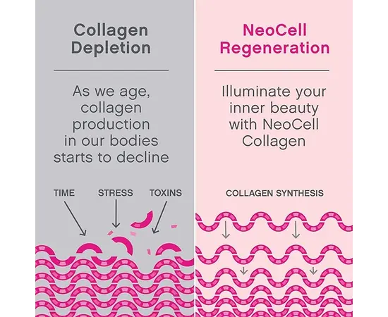Neocell Super Collagen Type 1&3 (200 g), Neocell Super Collagen Type 1&3 (200 g) , изображение 5 в интернет магазине Mega Mass