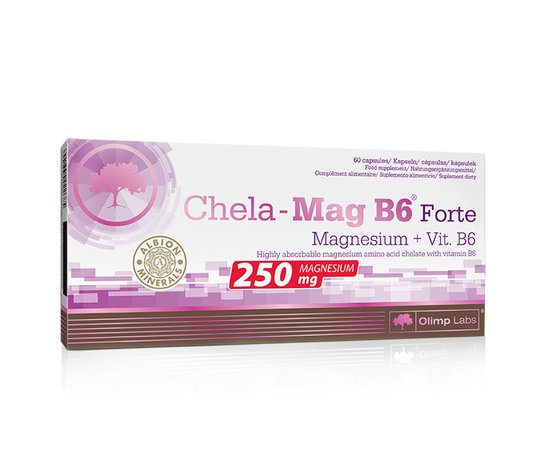Olimp Chela-Mag B6 Forte 60 caps, Olimp Chela-Mag B6 Forte 60 caps  в интернет магазине Mega Mass