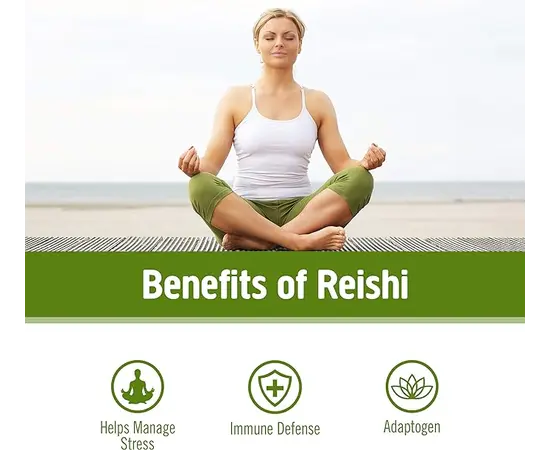 OM Reishi Mushroom Power 100 g, image , зображення 5
