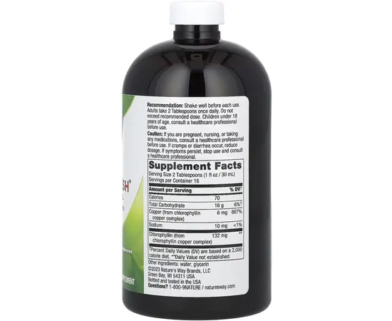 Nature's Way Chlorofresh 480 ml, Фасовка: 480 ml, Вкусы: Mint / Мята, Nature's Way Chlorofresh 480 ml, Фасовка: 480 ml, Вкусы: Mint / Мята , изображение 2 в интернет магазине Mega Mass