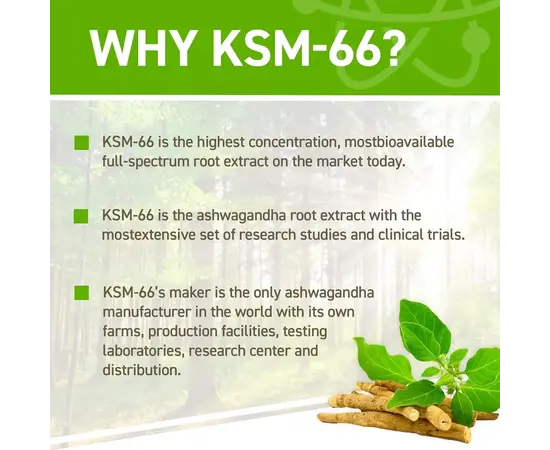 Applied Nutrition Ashwagandha KSM66 60 caps, Applied Nutrition Ashwagandha KSM66 60 caps , изображение 3 в интернет магазине Mega Mass