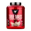 BSN True Mass 2640 g, Фасовка: 2640 g, Вкусы: Vanilla Ice Cream / Ванильное Мороженое, BSN True Mass 2640 g, Фасовка: 2640 g, Вкусы: Vanilla Ice Cream / Ванильное Мороженое  в интернет магазине Mega Mass