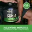 Optimum Nutrition Serious Mass 2720 g, Фасовка: 2700 g, Вкусы: Chocolate Peanut Butter / Шоколад с Арахисовой Пастой, Optimum Nutrition Serious Mass 2720 g, Фасовка: 2700 g, Вкусы: Chocolate Peanut Butter / Шоколад с Арахисовой Пастой , изображение 6 в интернет магазине Mega Mass