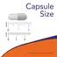 NOW L-Arginine 500 mg 250 caps, Фасування: 250 caps, image , зображення 3