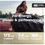 Optimum Nutrition Gold Standard Pre-Workout 300 g, Фасовка: 300 g, Вкусы: Watermelon Candy / Арбуз Конфета, Optimum Nutrition Gold Standard Pre-Workout 300 g, Фасовка: 300 g, Вкусы: Watermelon Candy / Арбуз Конфета , изображение 7 в интернет магазине Mega Mass