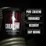 Universal Nutrition Animal Micronized Creatine 300 g, image , зображення 4