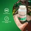 BioTech Ashwagandha 60 caps, BioTech Ashwagandha 60 caps , изображение 5 в интернет магазине Mega Mass