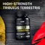 VPlab Tribulus Terrestris 90 caps, image , зображення 6
