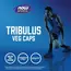 NOW Tribulus 500 100 caps, Концентрація: 500 mg, image , зображення 4