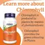 NOW Chlorophyll 90 caps, image , зображення 5