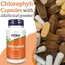 NOW Chlorophyll 90 caps, image , зображення 3