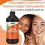 NOW Liquid Chlorophyll 473 ml, Фасовка: 473 ml, Вкусы: Mint / Мята, NOW Liquid Chlorophyll 473 ml, Фасовка: 473 ml, Вкусы: Mint / Мята , изображение 6 в интернет магазине Mega Mass