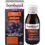Sambucol Black Elderberry Immuno Forte Vitamin C + Zink 120 ml, Sambucol Black Elderberry Immuno Forte Vitamin C + Zink 120 ml  в интернет магазине Mega Mass