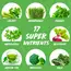 Applied Nutrition Critical Greens 150 g, Applied Nutrition Critical Greens 150 g , изображение 2 в интернет магазине Mega Mass