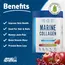 Applied Nutrition Marine Collagen 300 g, Фасовка: 300 g, Вкусы: Cherry Apple / Вишня Яблоко, Applied Nutrition Marine Collagen 300 g, Фасовка: 300 g, Вкусы: Cherry Apple / Вишня Яблоко , изображение 2 в интернет магазине Mega Mass