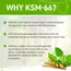 Applied Nutrition Ashwagandha KSM66 60 caps, Applied Nutrition Ashwagandha KSM66 60 caps , изображение 3 в интернет магазине Mega Mass